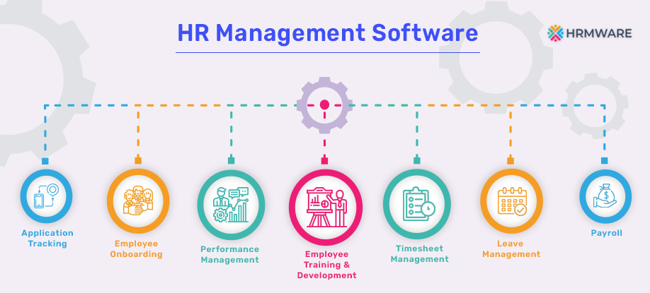 How To Choose The Best Hr Software For Your Business In